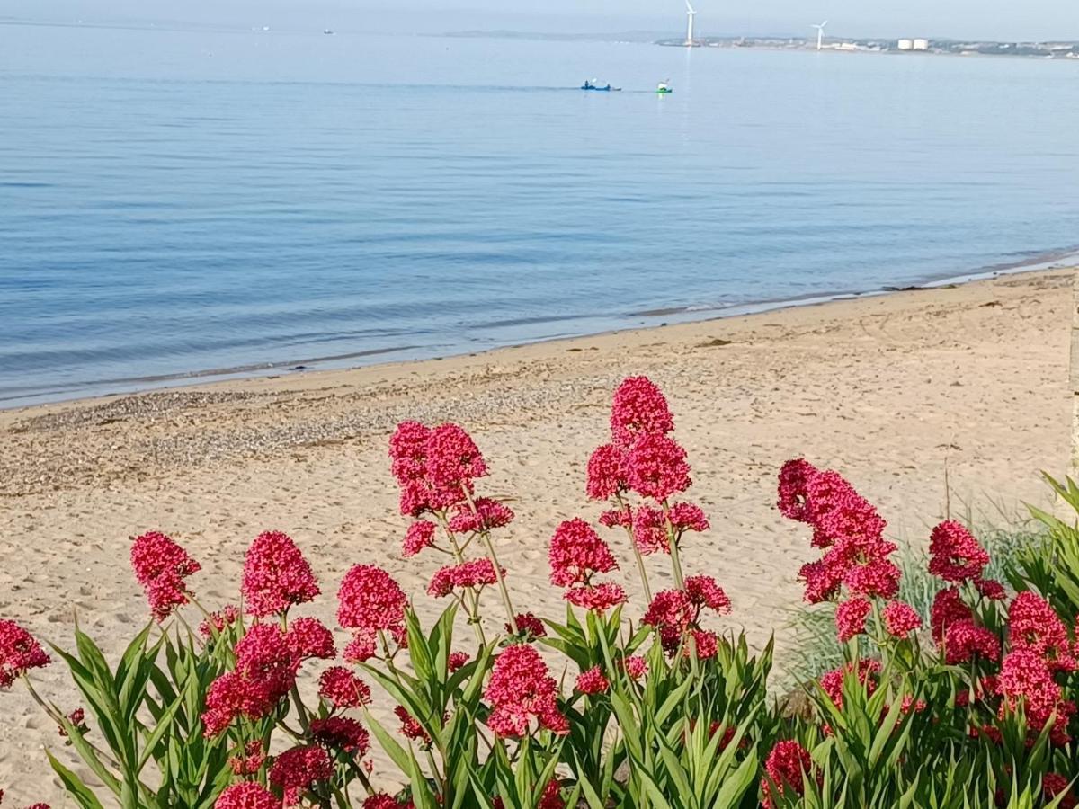 Largo Beach Holiday Home, East Neuk Of Fife, Near St Andrews Lower Largo Dış mekan fotoğraf